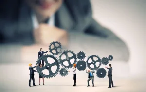 Development Process